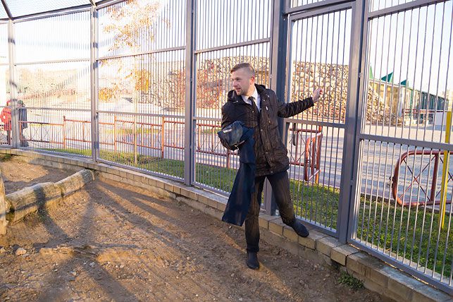 Лев из гродненского зоопарка стал дизайнером джинсов