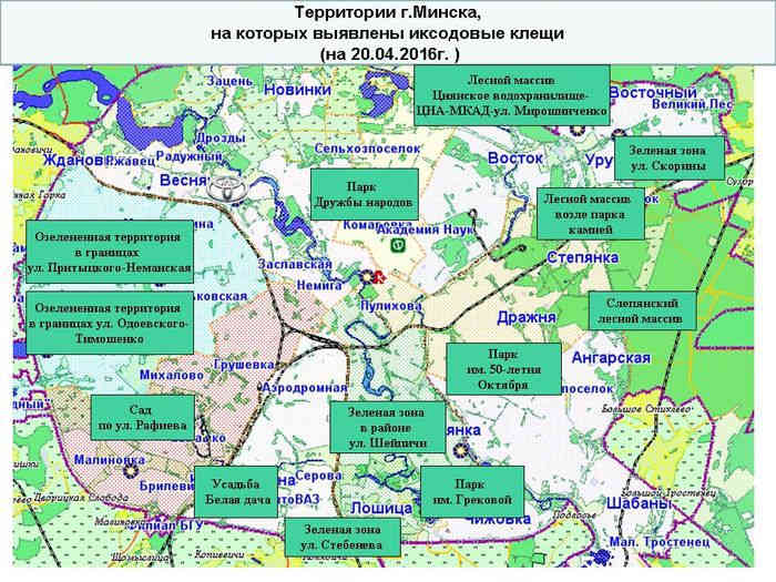 Карта клещей ярославская область