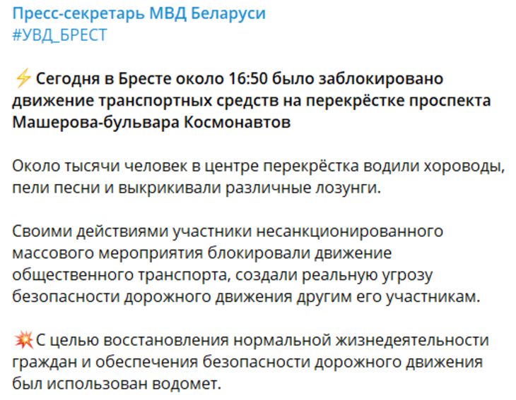 МВД подтвердило применение водомета на акции протеста в Бресте