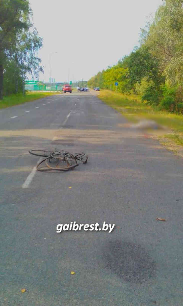 В Лунинецком районе пьяная бесправница насмерть сбила велосипедиста