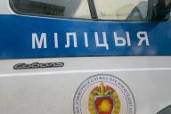 Серийный вор из Дзержинска для маскировки менял номера на своем авто