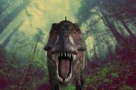 Не динозавры. Ученые нашли останки самых первых наземных животных
