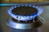 Эксперты бьют тревогу: грядет самое большое в истории падение спроса на газ