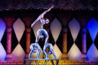 Cirque du Soleil оказался на грани банкротства из-за коронавируса