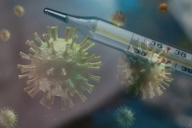 Главный иммунолог США: коронавирус пока не удалось взять под контроль