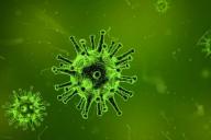 Ученые: антитела к COVID-19 могут исчезать после выздоровления