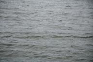 На озере в Гродно едва не утонула 5-летняя девочка