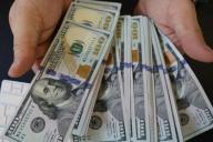 Доллар и евро растут на старте валютных торгов в Беларуси 29 июля