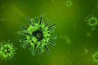 Учеными обнаружен «пособник» COVID-19, помогающий вирусу проникать в организм