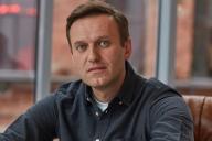 МВД России начало проверку по поводу инцидента с Навальным