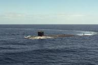 Убийца подлодок: западные эксперты оценили российский подводный дрон «Цефалопод»