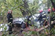 Под Бобруйском Audi влетело в дерево: погибли водитель и пассажирка