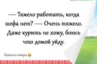 Смешные анекдоты: 15 декабря 2020 года