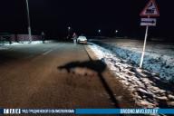 В Зельве женщина на Audi переехала лежащего на дороге пешехода: он погиб