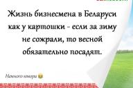 Смешные анекдоты: 6 ноября 2020 года