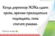 Смешные анекдоты: 22 октября 2020 года