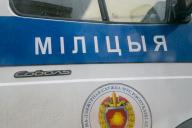 В МВД прокомментировали задержание компании под Молодечно: собирались сжечь чучело в цветах нацфлага