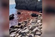 Черное море резко стало красным: стоит ли паниковать туристам