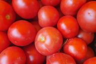 3 «модных» совета по уходу за помидорами, которые стоит игнорировать: эти ошибки стоят урожая