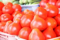 5 наиболее капризных сортов томатов, которые не стоят ваших сил и времени 