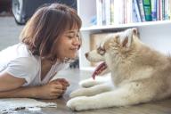 girl and dog