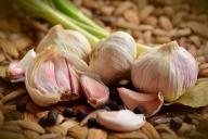 garlic