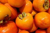 persimmon