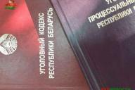 Гражданин Великобритании осужден в Бресте к 1,5 года колонии за содействие нелегальной миграции