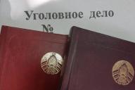 Число зарегистрированных преступлений в Беларуси в 2018 году снизилось на 2,9%