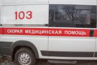 Рабочий пострадал при погрузке бревен в Барановичском районе