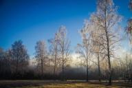 Погода в Гродно и Гродненской области на день 11 марта 2019 года