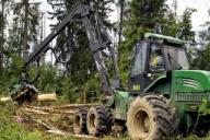 Преимущества белорусской лесозаготовительной техники представили в Башкортостане