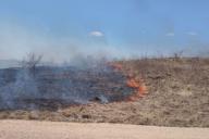Поджигателя сухой травы задержали в Витебском районе местные жители
