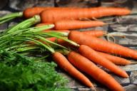 Медики рассказали о полезных свойствах моркови