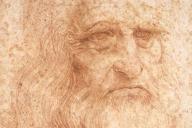 Невероятные кадры: художник на поле распахал портрет Леонардо да Винчи