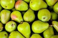 Яблоки и груши могут быть смертельно опасны: рассказал врач 