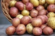 Какие разновидности картофеля существуют и в чем особенность каждого