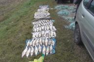 Браконьеров с 176 кг рыбы задержали на Вилейском водохранилище